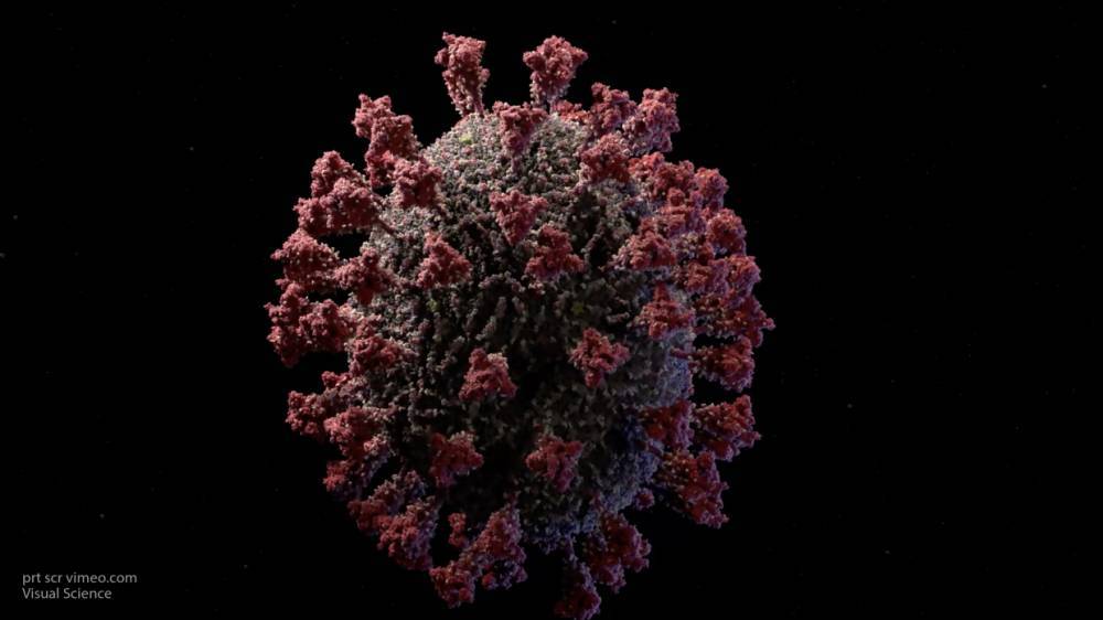 Ученые подсчитали длительность иммунитета к коронавирусу