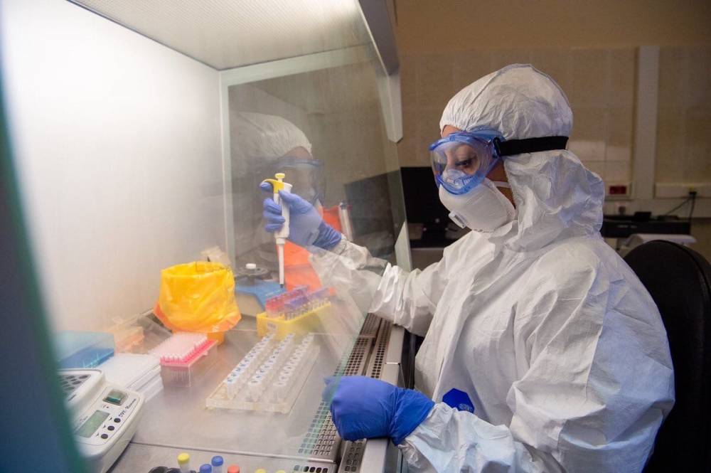 В России с начала распространения эпидемии провели более 8,4 млн тестов на коронавирус