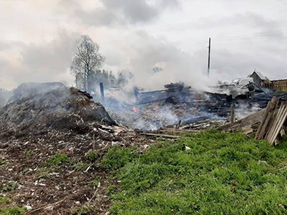 В Ярославской области на пожаре погибли трое детей и женщина