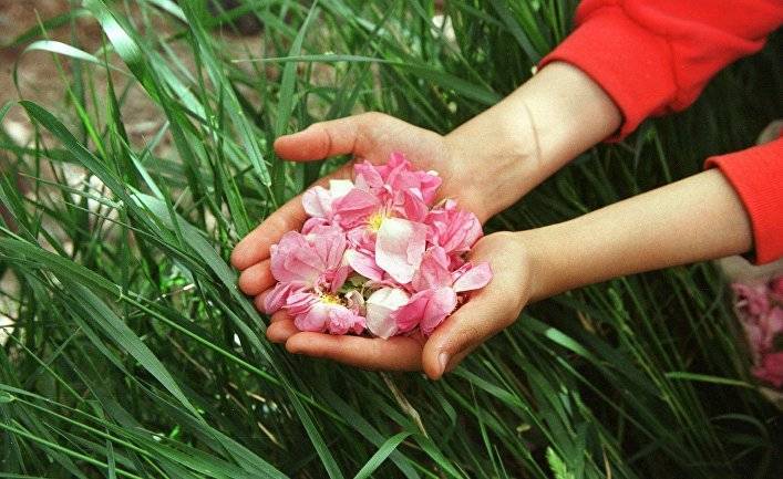 Хуаньцю шибао (Китай): для кого цветет и благоухает персидская роза в разгар эпидемии?