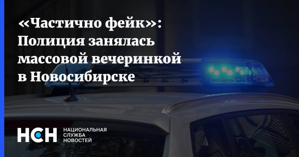 «Частично фейк»: Полиция занялась массовой вечеринкой в Новосибирске