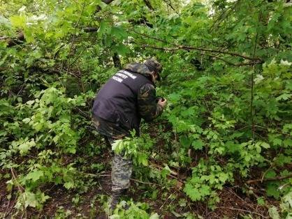 Под Пензой пропавшая 14-летняя девочка найдена убитой в лесу