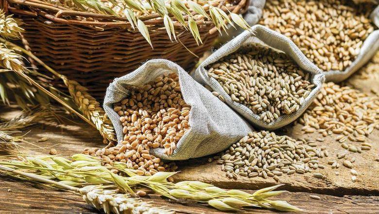 Тюменское зерно экспортируют за границу