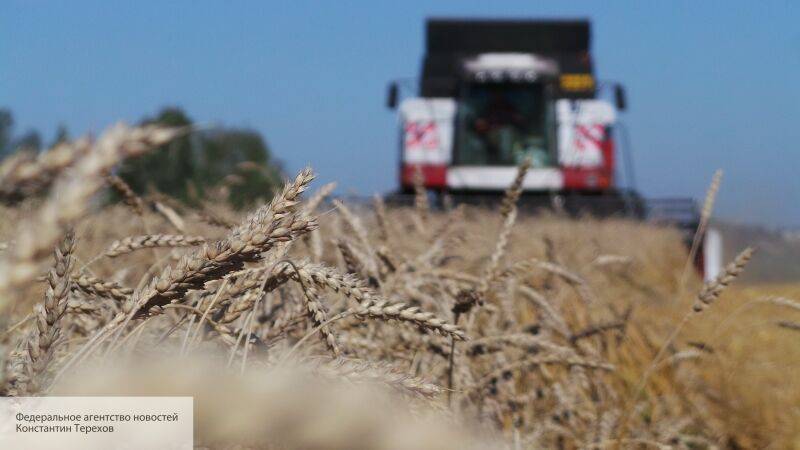 Le Commerce оценило выгоду России от поставок зерна в Ливан
