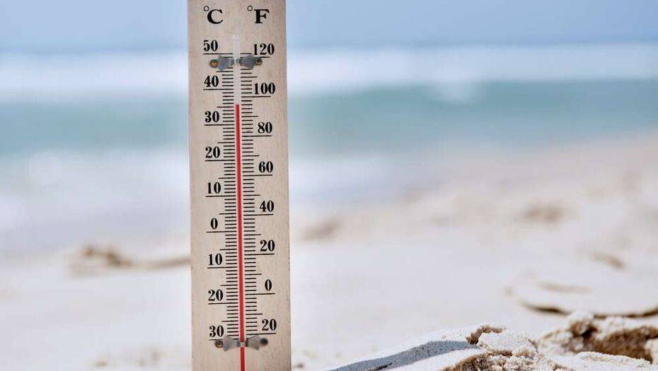 Прогноз погоды на 25 мая: сильная жара ожидается в 12 областях Казахстана