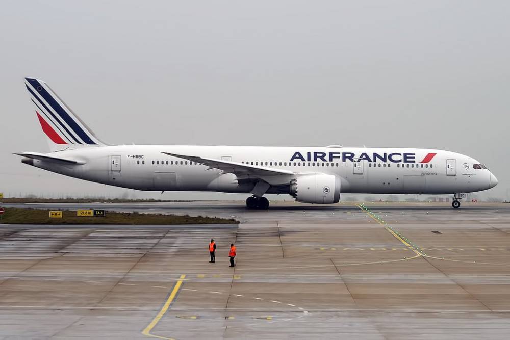 Air France должна отказаться от части внутренних рейсов в обмен на госпомощь