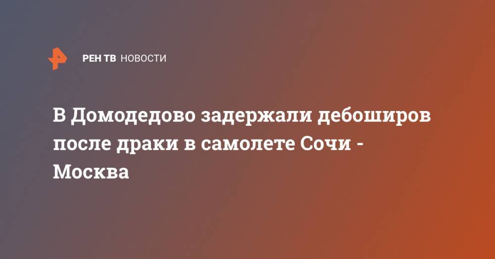 В Домодедово задержали дебоширов после драки в самолете Сочи - Москва