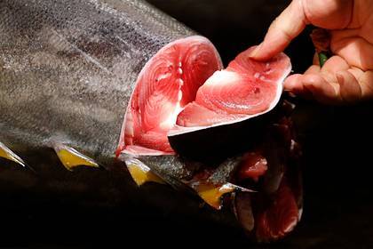 Известный повар раскрыл беспроигрышный рецепт приготовления рыбы
