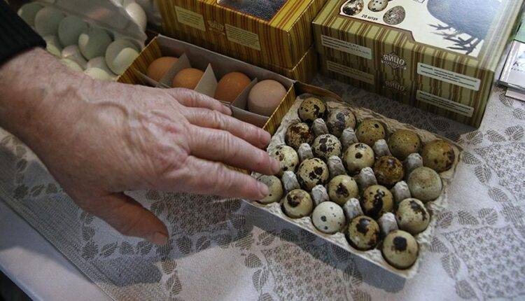 Россия планирует эксперимент с перепелиными яйцами на МКС в 2021 году