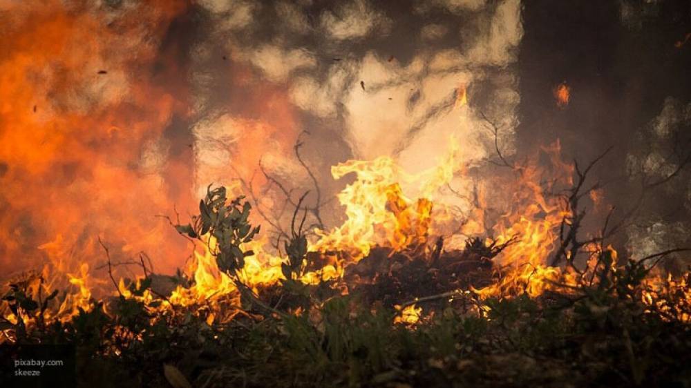 Пожарные за сутки потушили 62 пожара в российских лесах