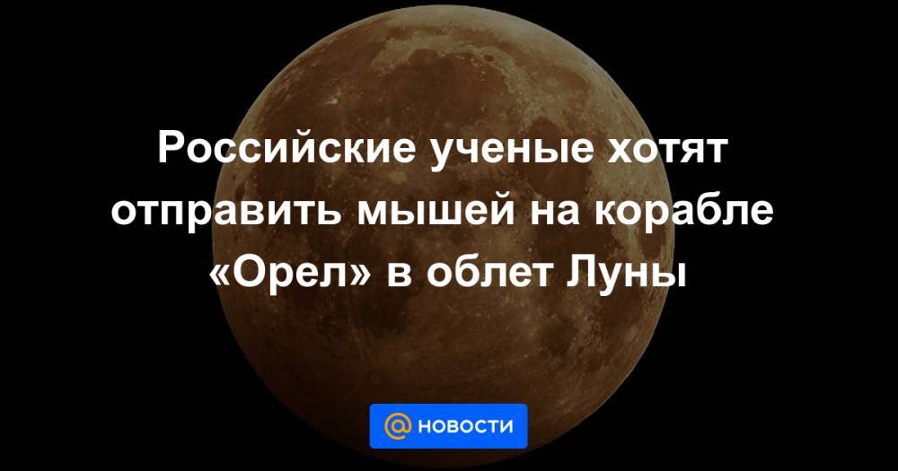 Российские ученые хотят отправить мышей на корабле «Орел» в облет Луны