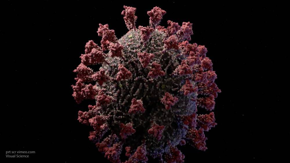 Американский нефролог Мухфуз назвал основную мишень коронавируса в организме