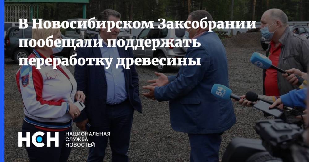 В Новосибирском Заксобрании пообещали поддержать переработку древесины