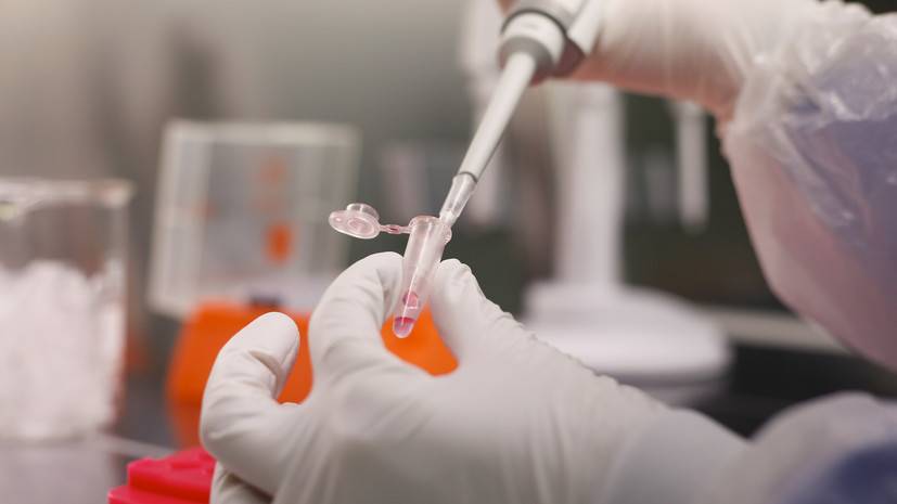 В Нидерландах выявлена возможная передача коронавируса от норок человеку