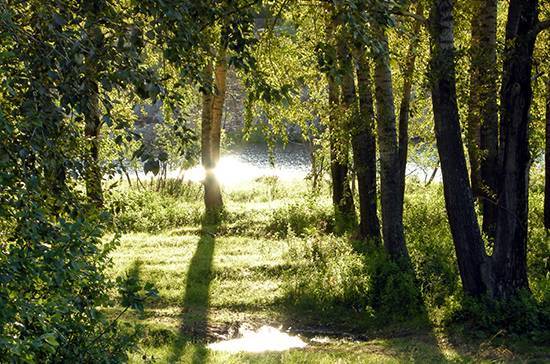 Национальные парки России могут открыть для посещения в конце июня