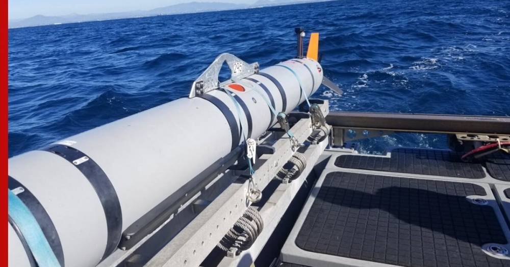 ВМС США ждут предложений по подводным роботам нового типа