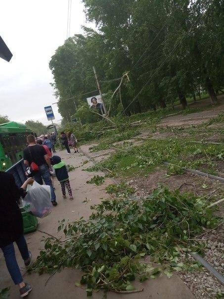 В Зауралье идет ураган, в результате которого в Екатеринбурге сегодня погиб человек