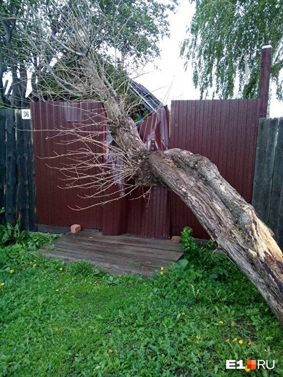 В Свердловской области из-за урагана погибли два человека