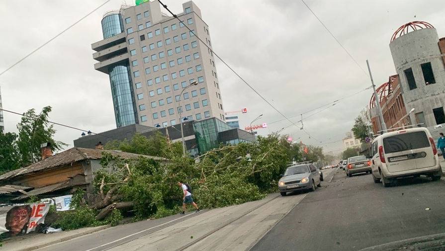 В Екатеринбурге при урагане погибли три человека