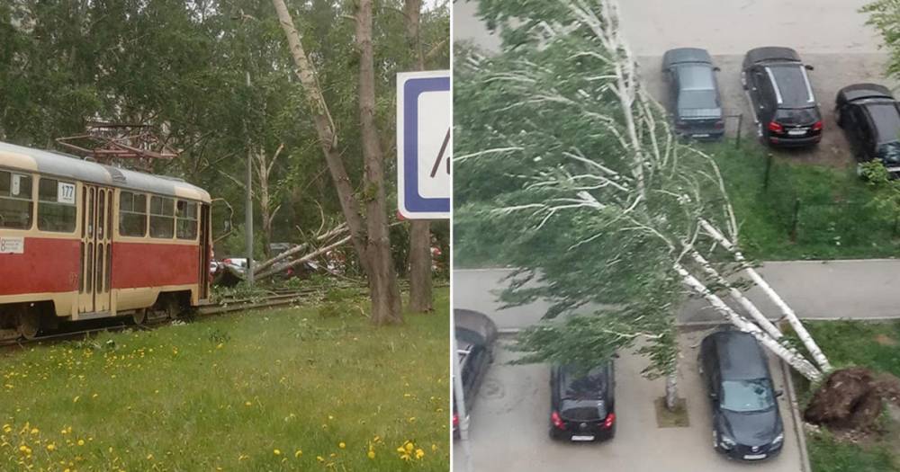 Оконная рама упала на мать и ребенка во время урагана в Екатеринбурге