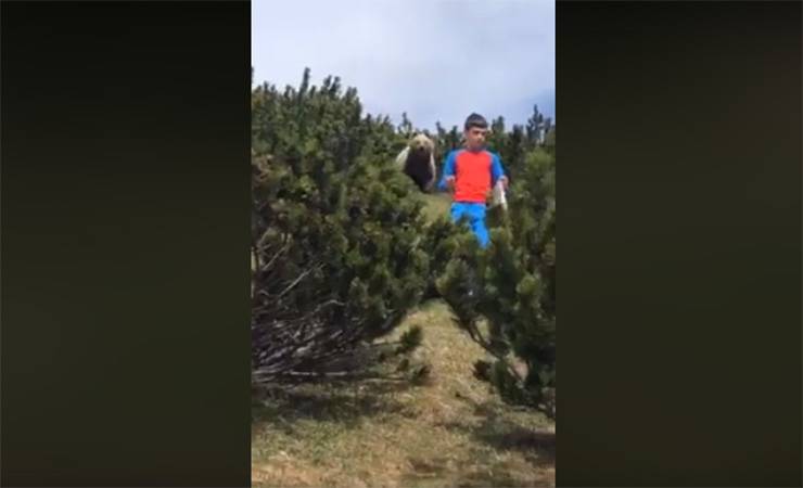 На видео попал ужасающий момент, как медведь по пятам преследует 12-летнего школьника