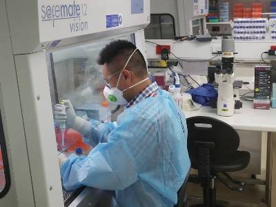 Таиланд проводит испытания потенциальной вакцины от нового коронавируса на макаках
