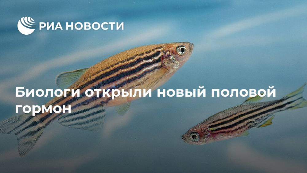 Биологи открыли новый половой гормон - ria.ru - Москва - Китай - Оттава