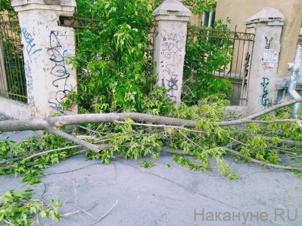 Сотни упавших деревьев, десятки поврежденных крыш и автомобилей. В Свердловской области ликвидировали последствия урагана