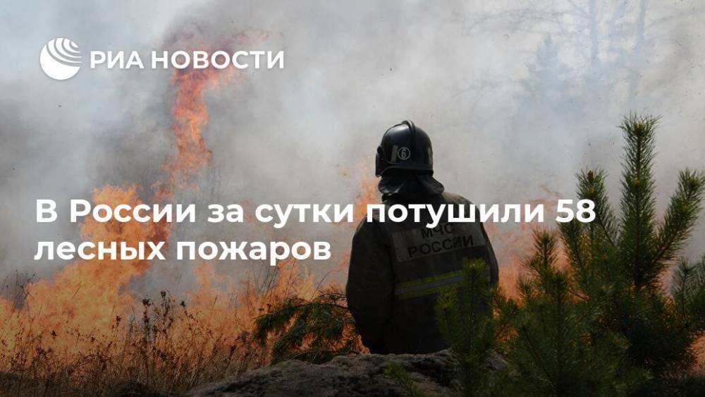 В России за сутки потушили 58 лесных пожаров
