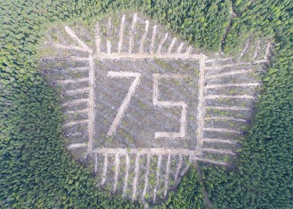В Прикамье участники акции "Сады памяти" высадили 3,5 тысячи сеянцев для создания юбилейного геоглифа "75"