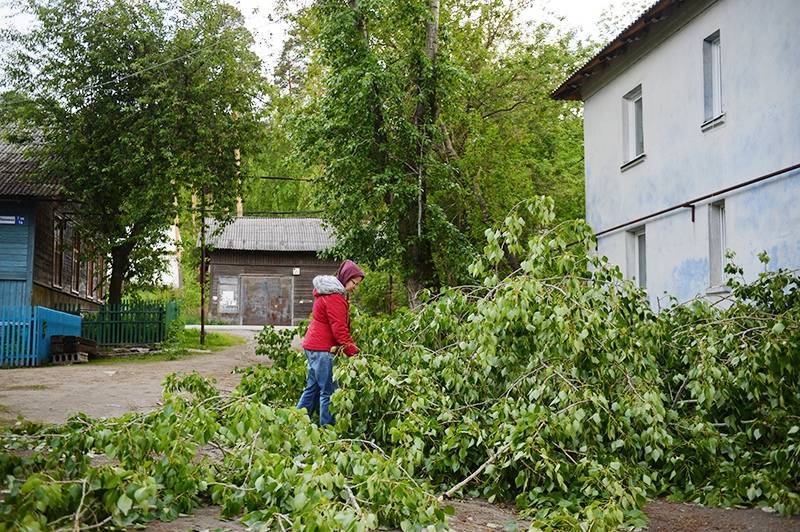 Число жертв урагана в Екатеринбурге возросло до четырех