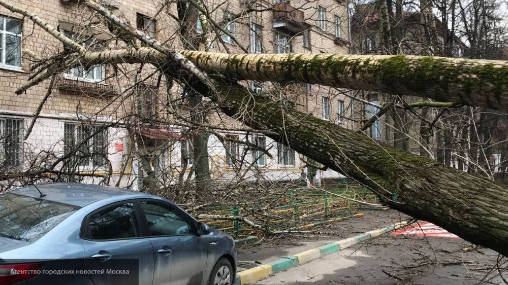 Жертвами урагана в Екатеринбурге стали четыре человека