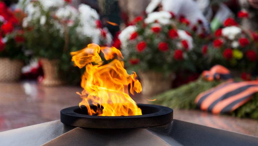 В Кронштадте несколько человек жарили шашлыки на Вечном огне