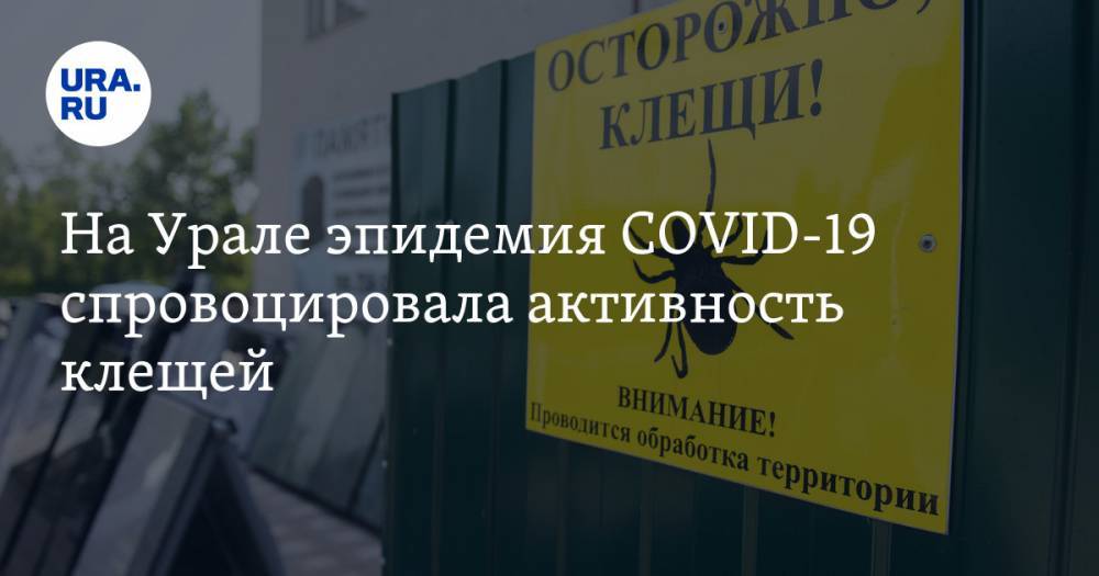 На Урале эпидемия COVID-19 спровоцировала активность клещей