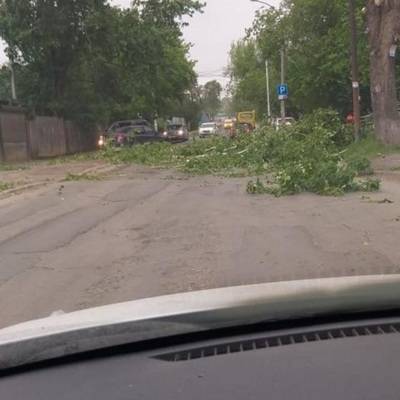 Екатеринбург: работа общественного транспорта восстановлена после урагана