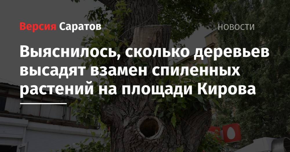 Выяснилось, сколько деревьев высадят взамен спиленных растений на площади Кирова