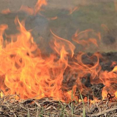 Крупный пожар, возникший в цыганском поселке под Самарой, распространился на поле