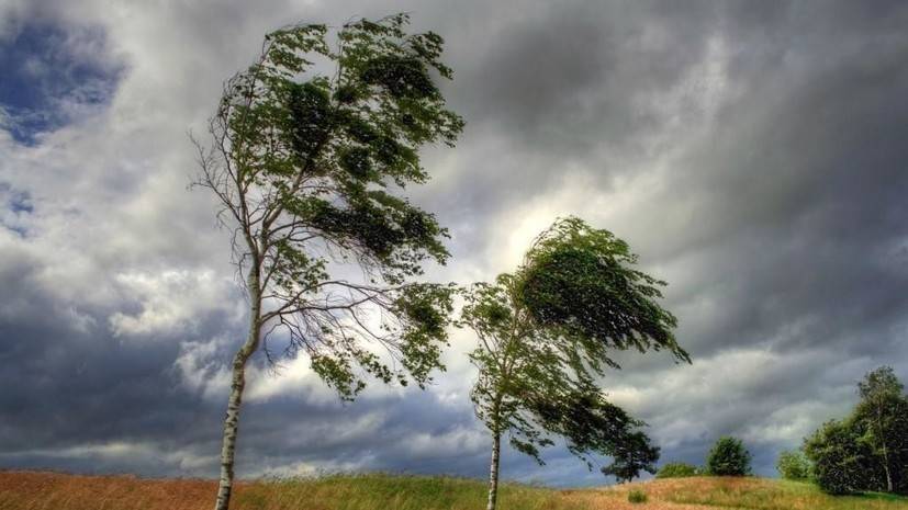 В Тюмени устраняют последствия штормового ветра