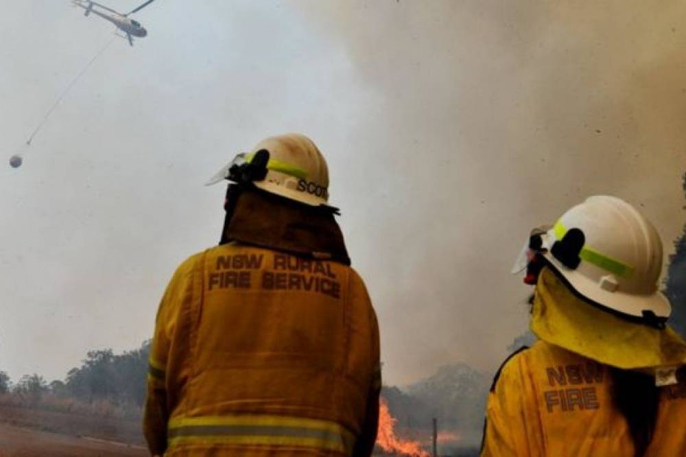 В Австралии в результате лесных пожаров погибли более 400 человек, - исследование