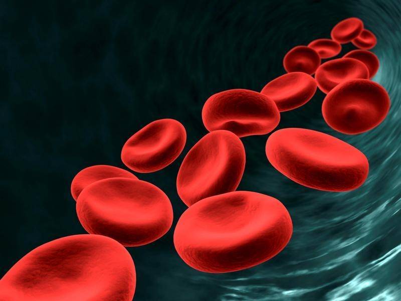 Ученые проверят, как переносят коронавирус жертвы рака крови