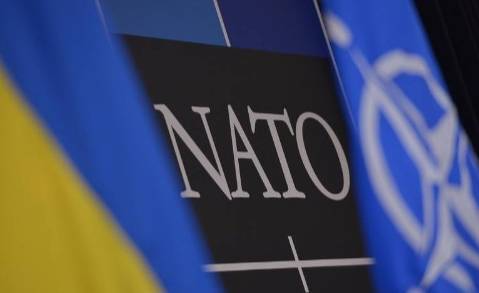 Зеленский подписал годовую национальную программу Украина-НАТО