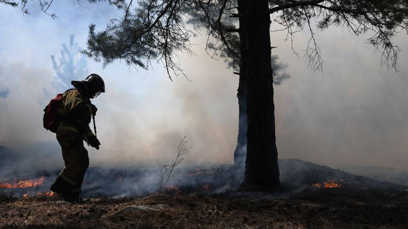 В России за сутки ликвидировано 57 лесных пожаров