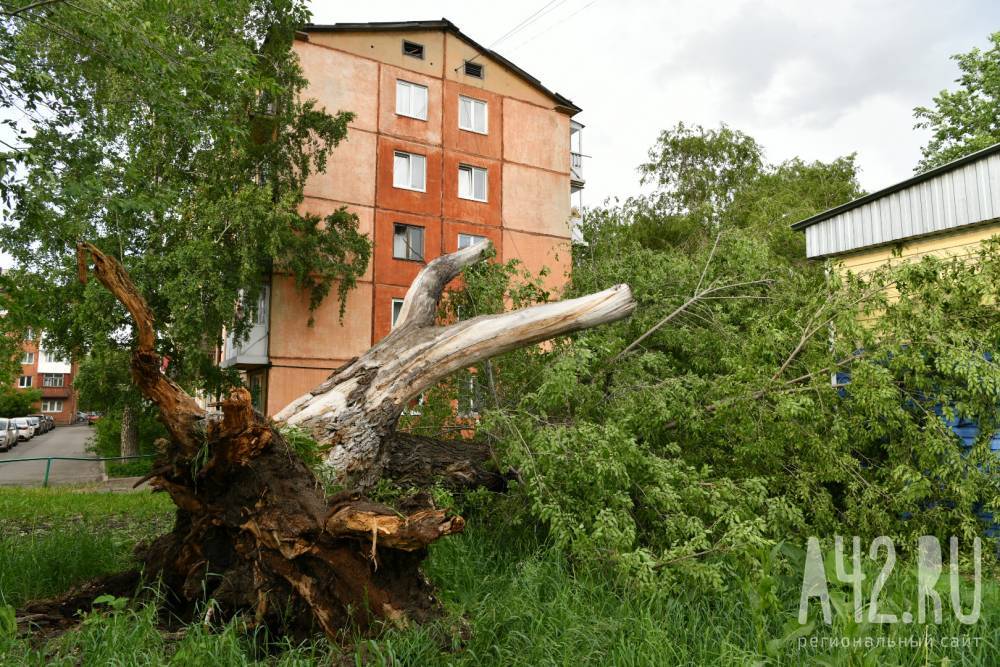 Илья Середюк рассказал о последствиях сильного ветра в Кемерове