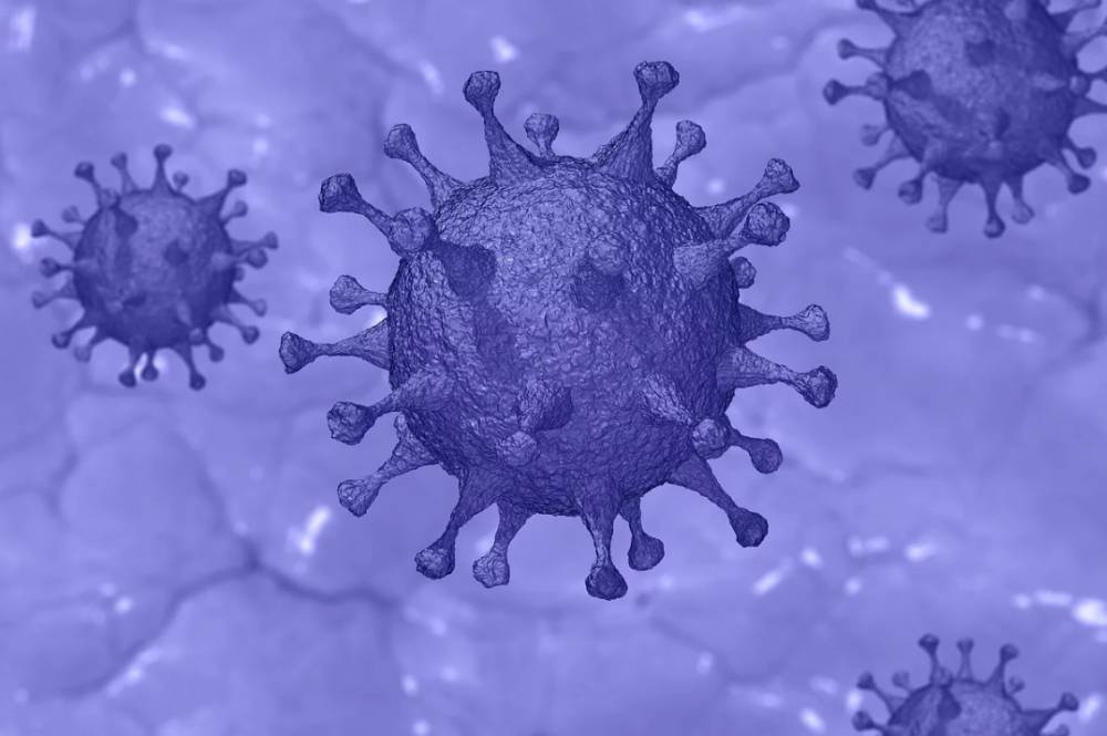 В мире зафиксировано уже почти 5,7 миллионов случаев заражения коронавирусом