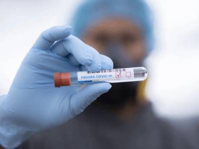 8 338 новых случаев заражения коронавирусом выявлено в России