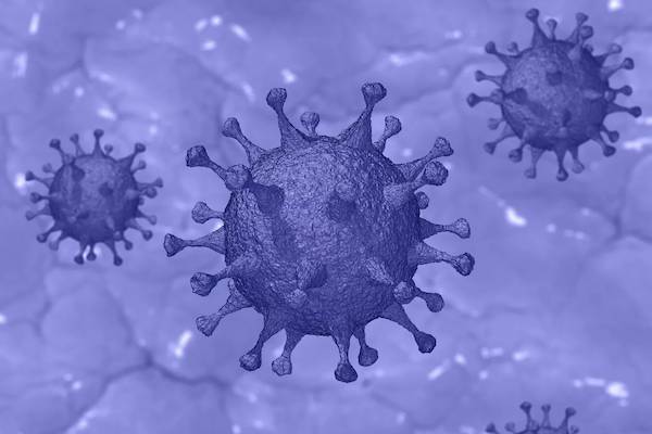 Ученые выявили оптимальные для коронавируса условия