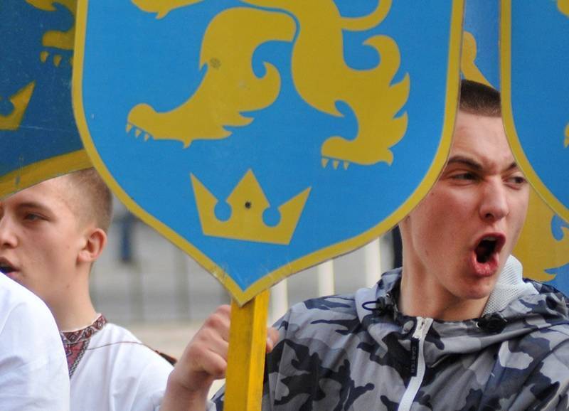 Украинский суд запретил нацистскую символику 14-й дивизии СС "Галичина"