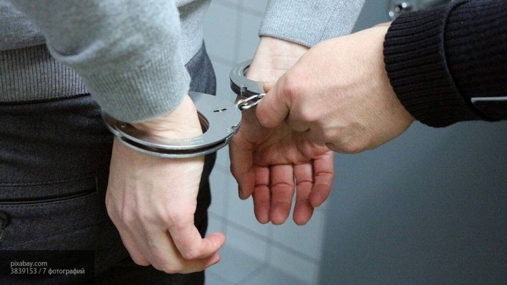 Полиция задержала избившего полуторагодовалого ребенка жителя Подмосковья