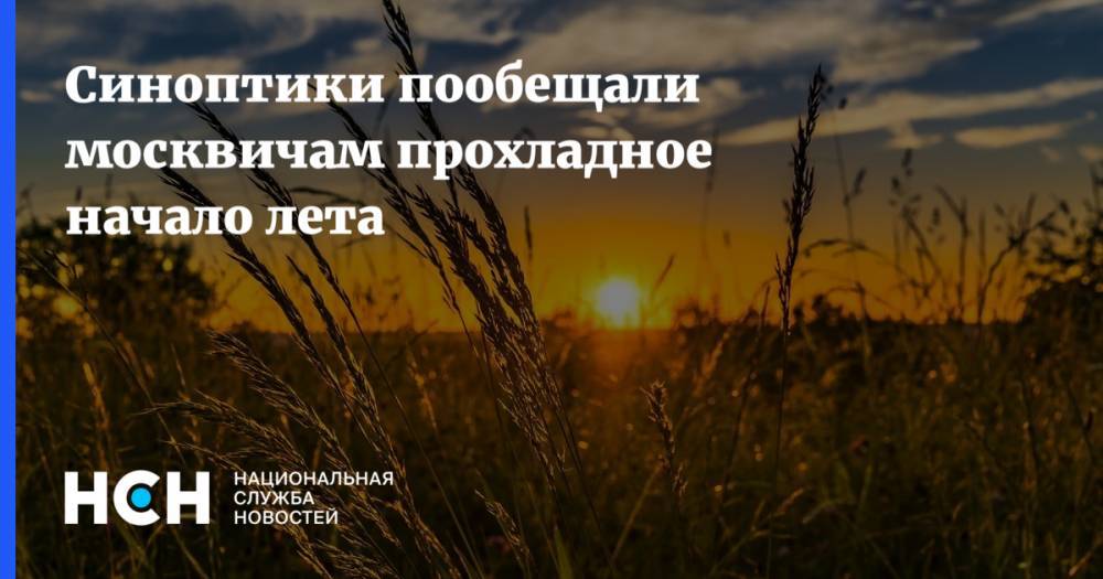 Синоптики пообещали москвичам прохладное начало лета
