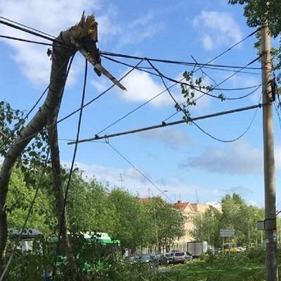 Мэр Екатеринбурга заявил, что город оправился от последствий урагана